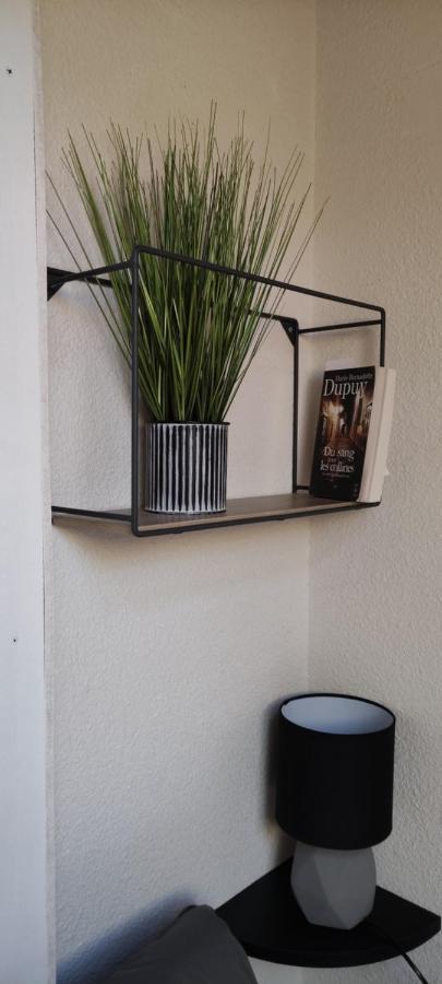 Appartement T2 A Bernex Avec Wifi, Vue Sur Montagne Bagian luar foto