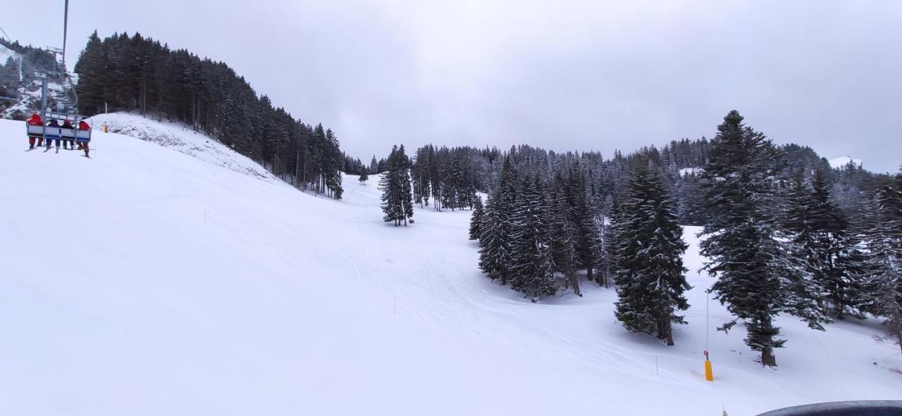 Appartement T2 A Bernex Avec Wifi, Vue Sur Montagne Bagian luar foto