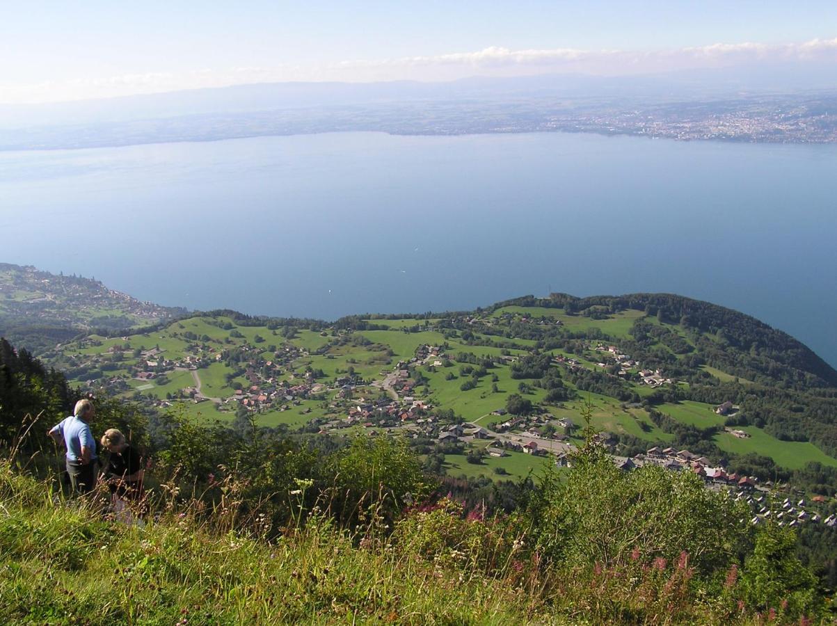 Appartement T2 A Bernex Avec Wifi, Vue Sur Montagne Bagian luar foto