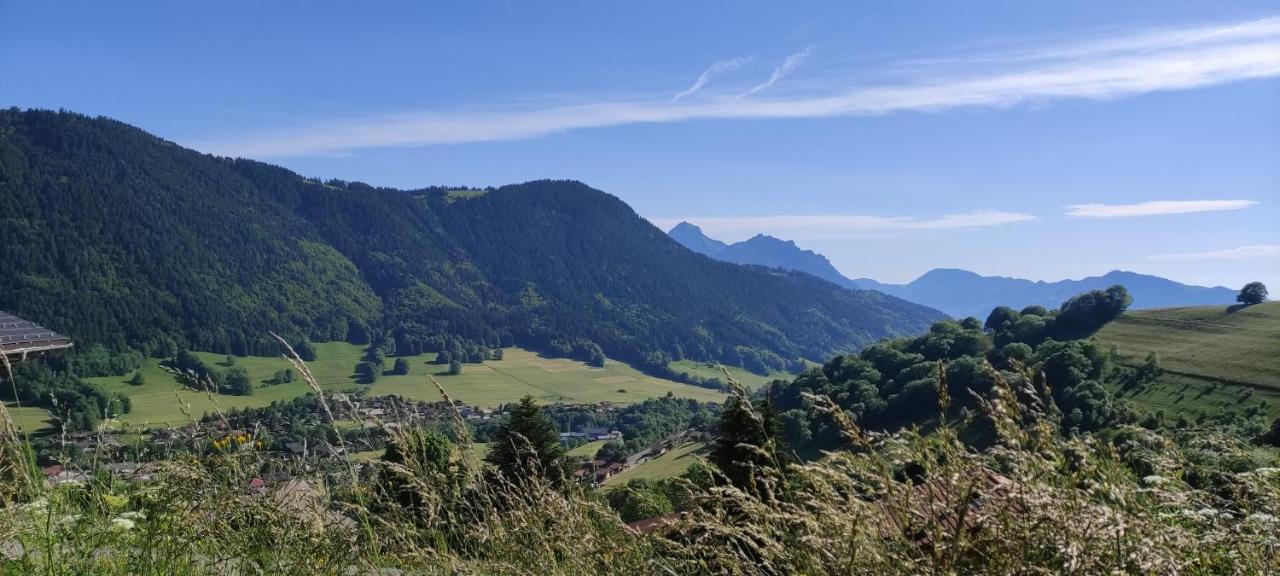 Appartement T2 A Bernex Avec Wifi, Vue Sur Montagne Bagian luar foto