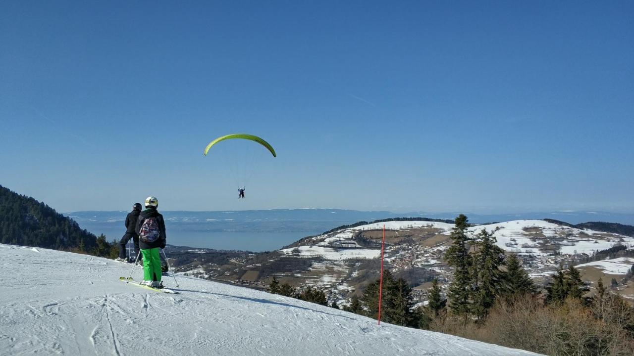 Appartement T2 A Bernex Avec Wifi, Vue Sur Montagne Bagian luar foto